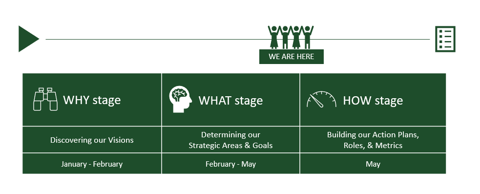 CSU IT Strategic Plan Process Diagram - Why, What, and How stages